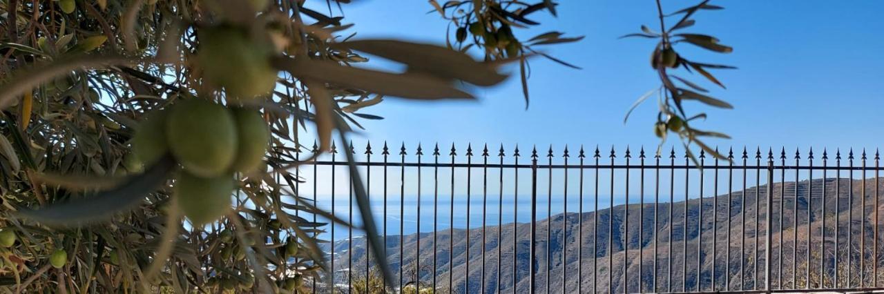 Cortijo Blanco Villa Albondon Екстериор снимка