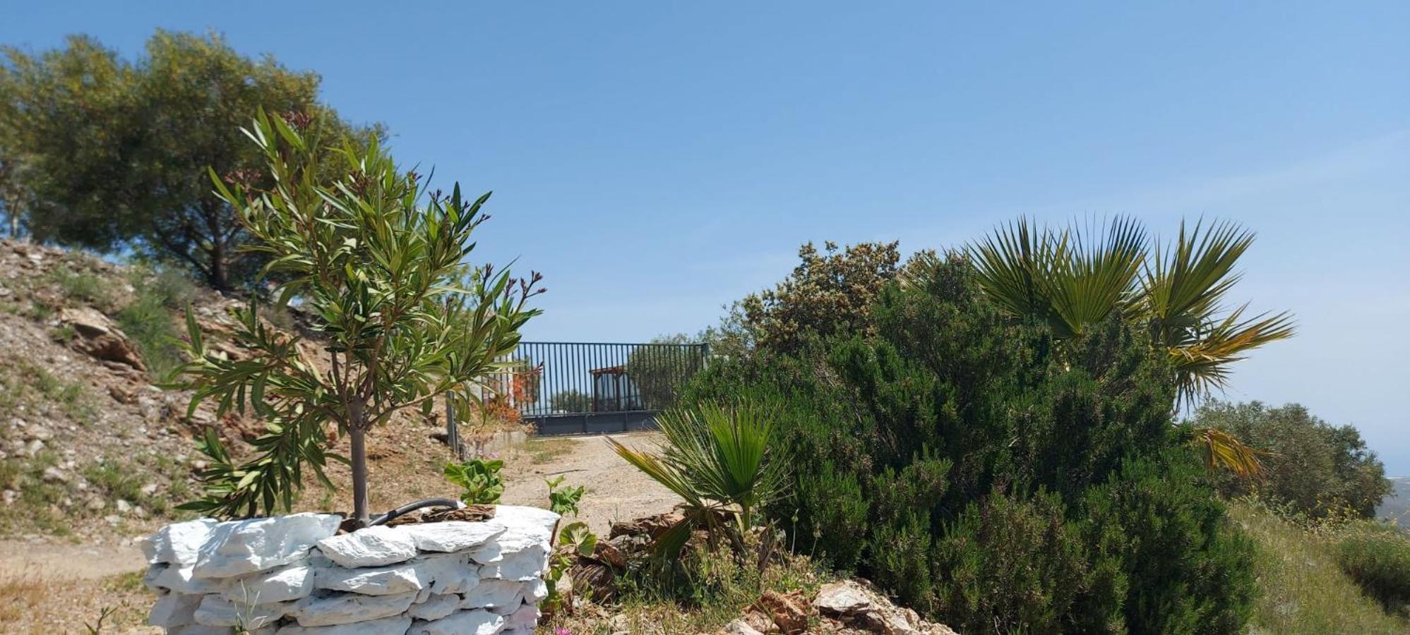 Cortijo Blanco Villa Albondon Екстериор снимка