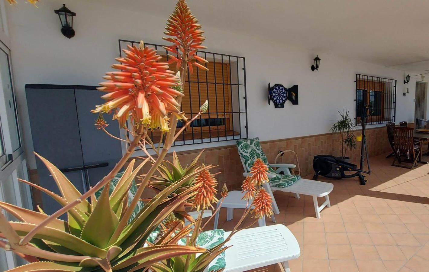 Cortijo Blanco Villa Albondon Екстериор снимка