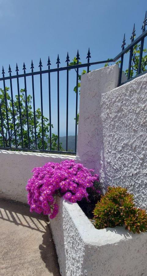 Cortijo Blanco Villa Albondon Екстериор снимка